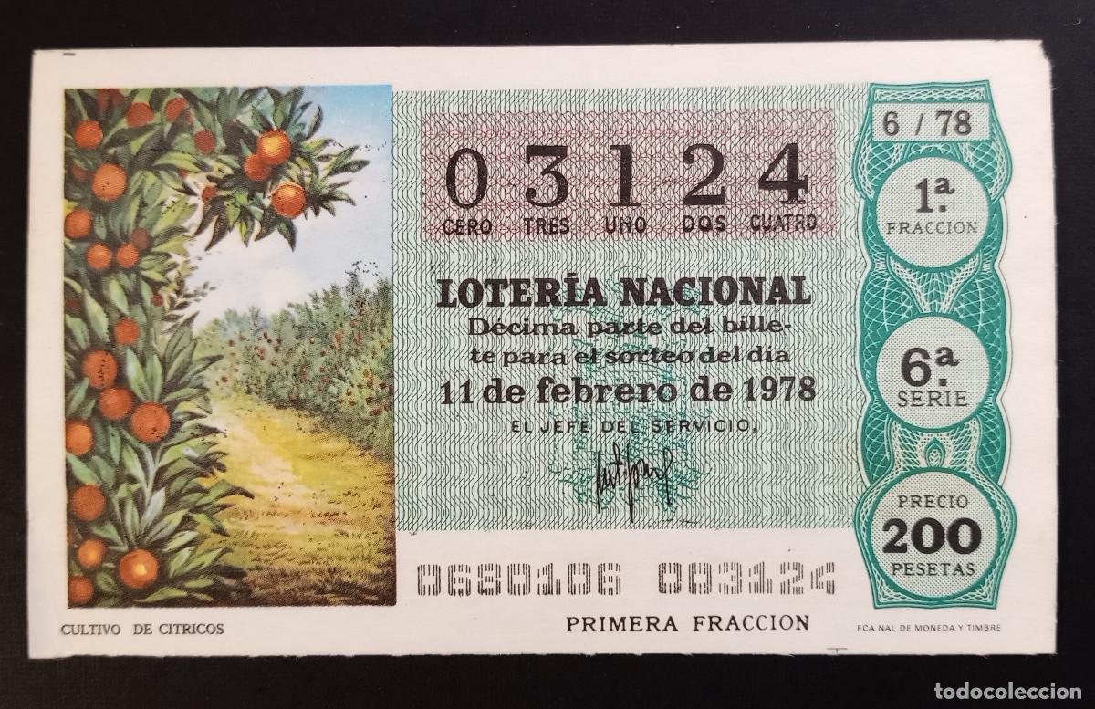 Loter&iacute;a Nacional: D&Eacute;CIMO DE LOTERIA - 11-FEBRERO-1978 - CULTIVO DE C&Iacute;TRICOS