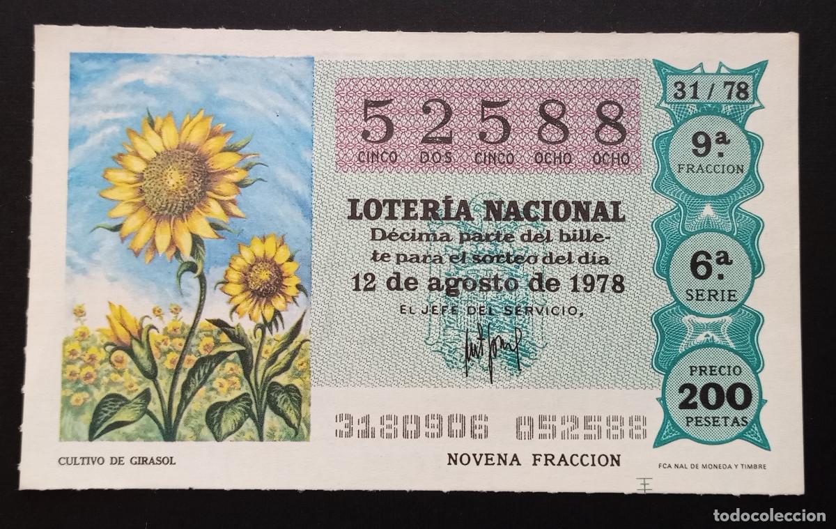 Loter&iacute;a Nacional: D&Eacute;CIMO DE LOTERIA - 12-AGOSTO-1978 - CULTIVO DE GIRASOL
