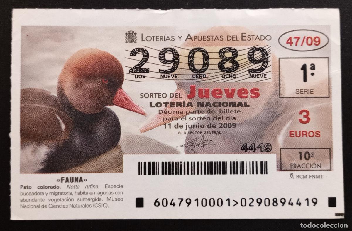 Loterie Nationale: D&Eacute;CIMO DE LOTERIA - 11-JUNIO-2009 - FAUNA, PATO COLORADO