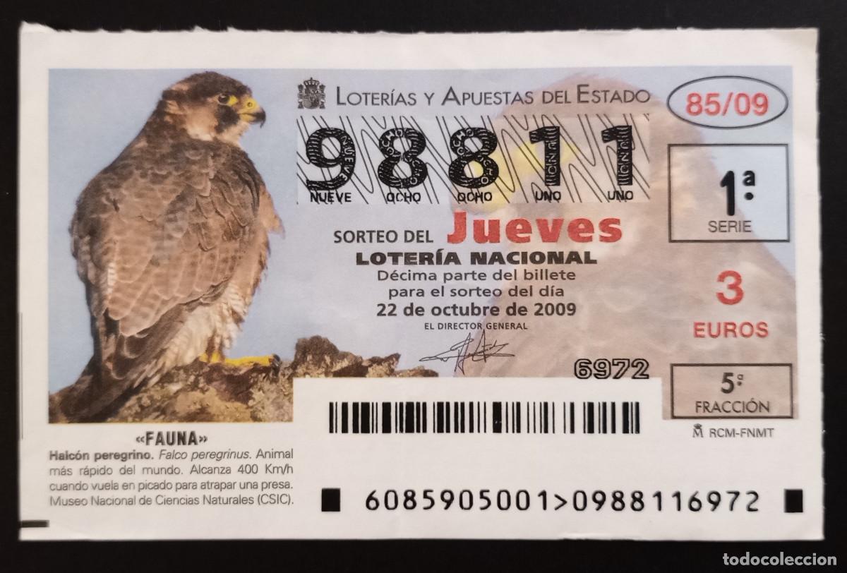 Loter&iacute;a Nacional: D&Eacute;CIMO DE LOTERIA - 22-OCTUBRE-2009 - FAUNA, HALC&Oacute;N PEREGRINO