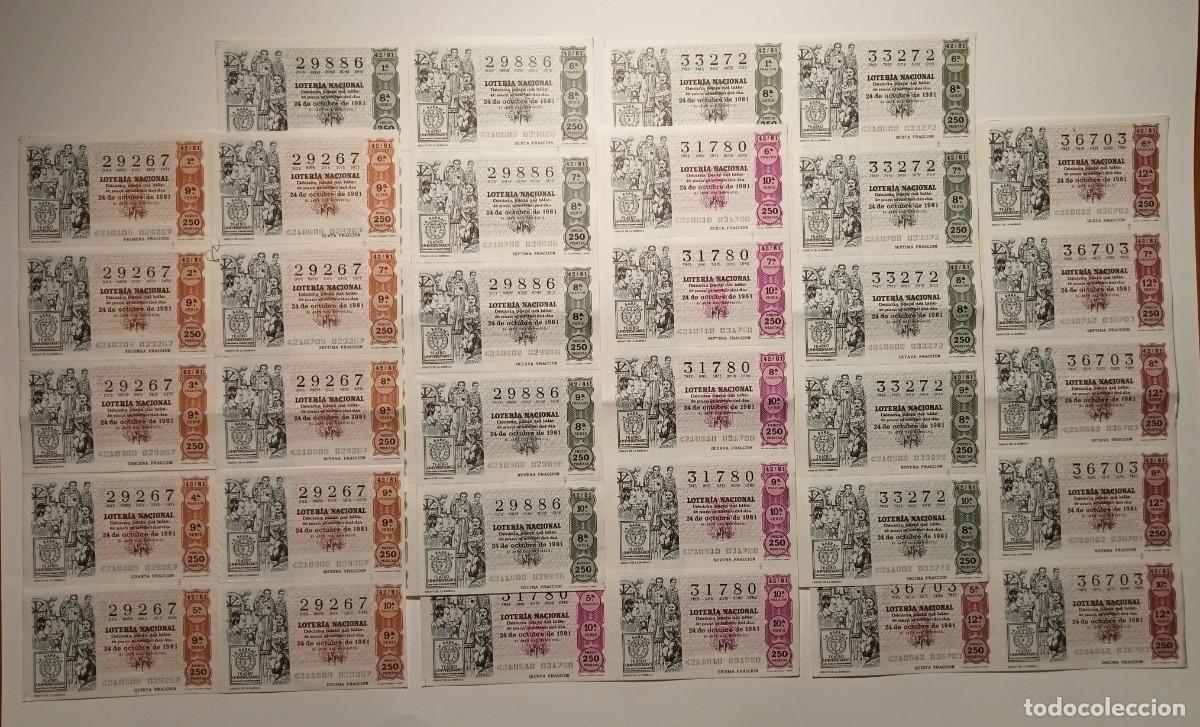 Loter&iacute;a Nacional: 1981 - 5 BILLETES COMPLETOS - LOTER&Iacute;A NACIONAL