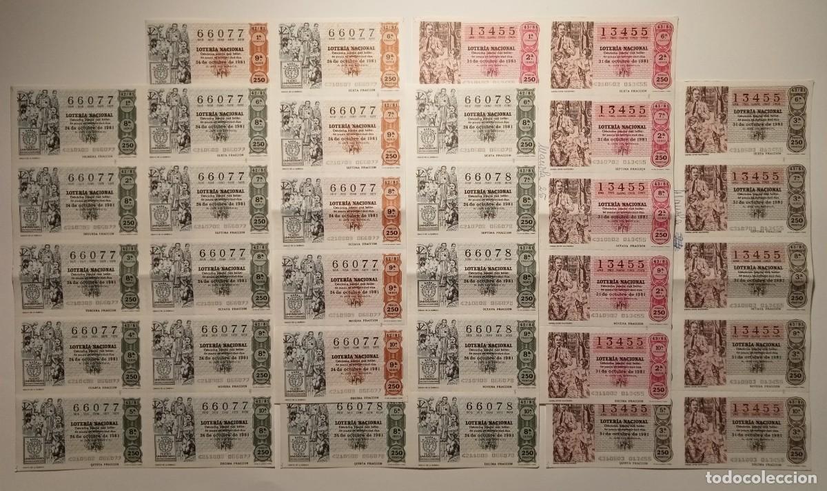 Loter&iacute;a Nacional: 1981 - 5 BILLETES COMPLETOS - LOTER&Iacute;A NACIONAL