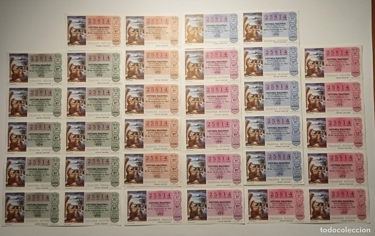 Loter&iacute;a Nacional: 1981 - 5 BILLETES COMPLETOS - LOTER&Iacute;A NACIONAL