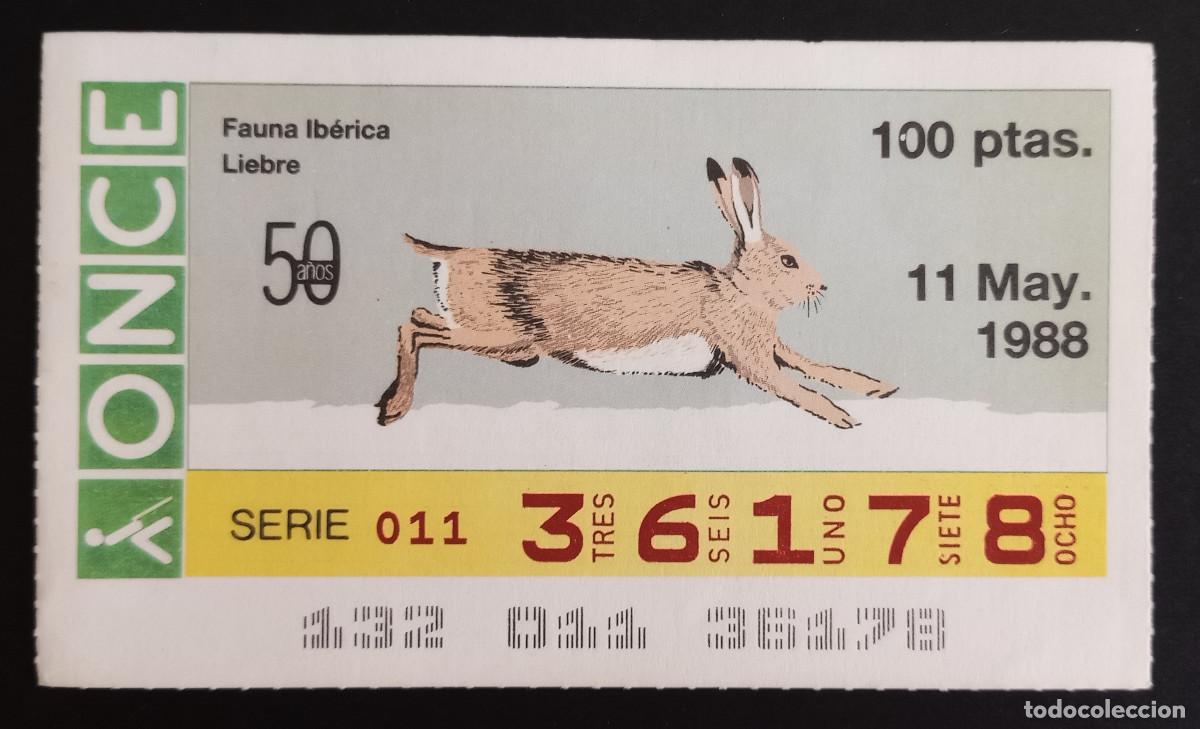 Loter&iacute;a Nacional: CUP&Oacute;N ONCE - 11-MAYO-1988 - FAUNA IB&Eacute;RICA, LIEBRE