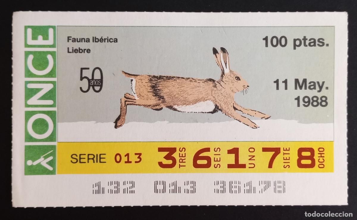 Loter&iacute;a Nacional: CUP&Oacute;N ONCE - 11-MAYO-1988 - FAUNA IB&Eacute;RICA, LIEBRE