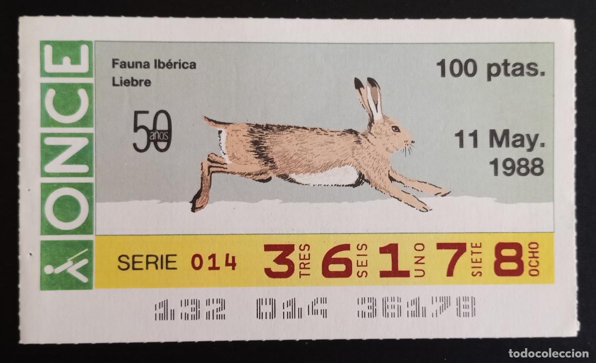 Loter&iacute;a Nacional: CUP&Oacute;N ONCE - 11-MAYO-1988 - FAUNA IB&Eacute;RICA, LIEBRE