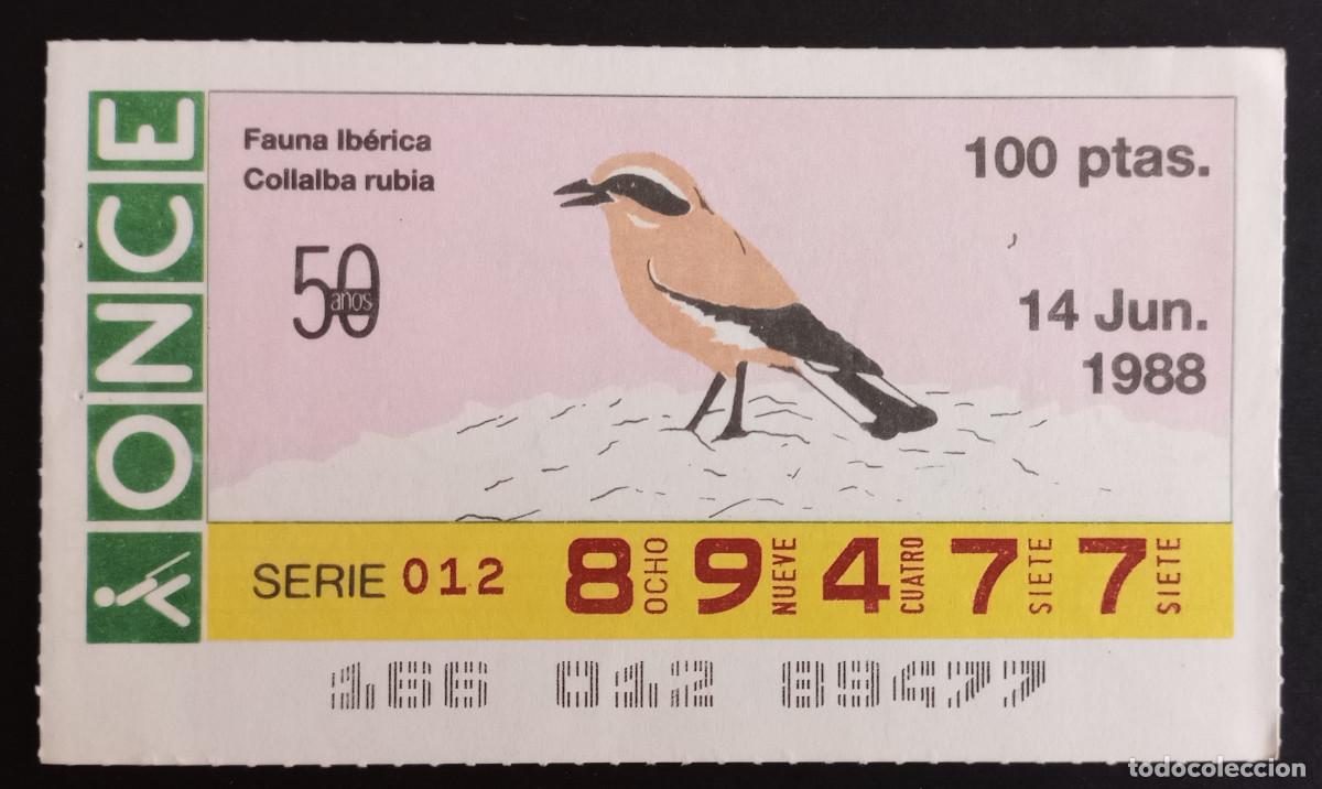 Loter&iacute;a Nacional: CUP&Oacute;N ONCE - 14-JUNIO-1988 - FAUNA IB&Eacute;RICA, COLLALBA RUBIA