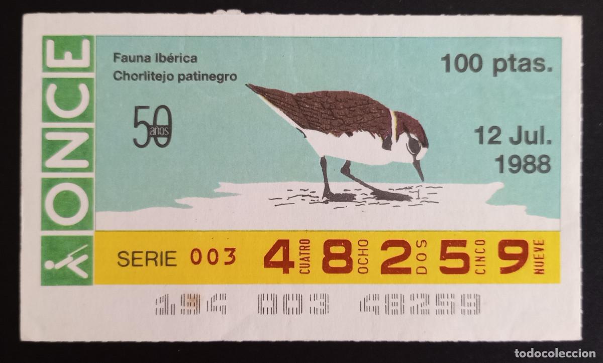 Loter&iacute;a Nacional: CUP&Oacute;N ONCE - 12-JULIO-1988 - FAUNA IB&Eacute;RICA, CHORLITEJO PATINEGRO