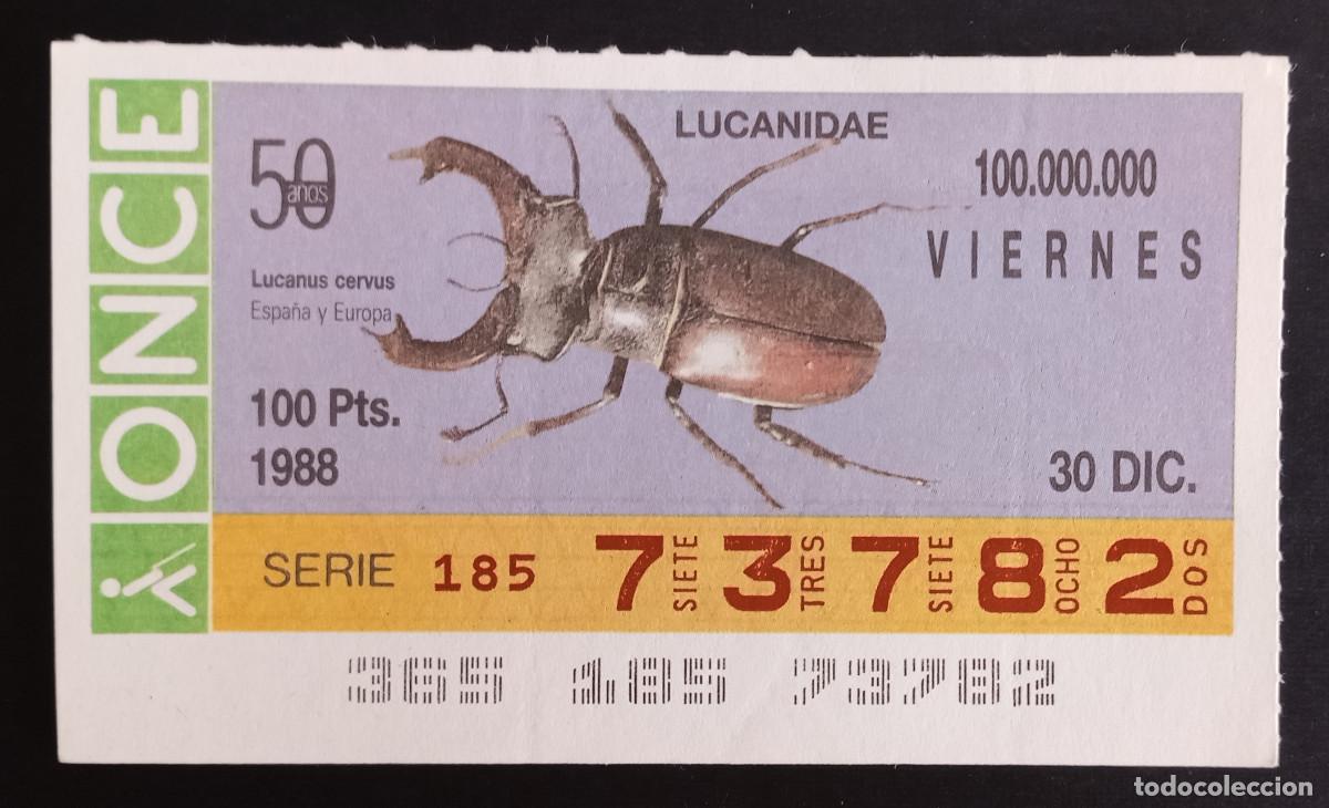 Loter&iacute;a Nacional: CUP&Oacute;N ONCE - 30-DICIEMBRE-1988 - LUCANIDAE, LUCANUS CERVUS, ESPA&Ntilde;A Y EUROPA