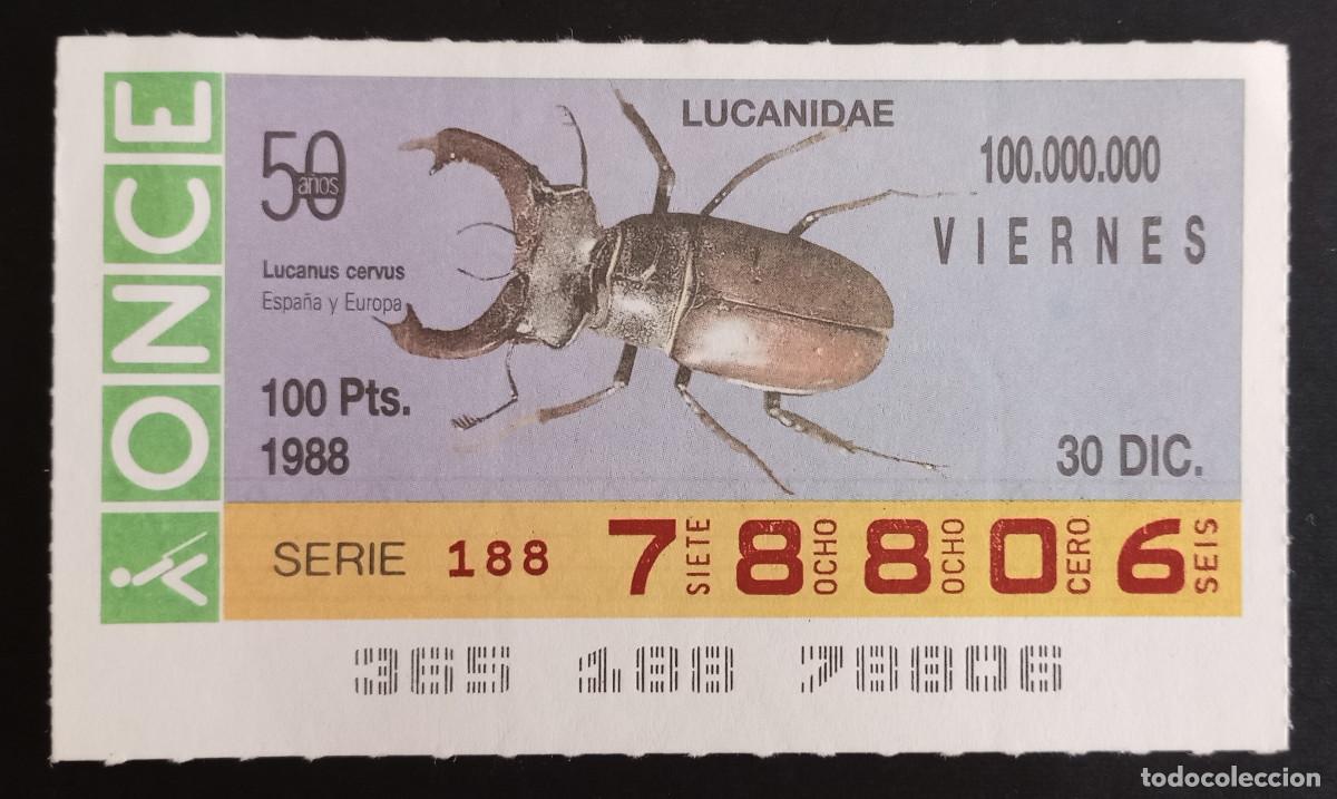Loter&iacute;a Nacional: CUP&Oacute;N ONCE - 30-DICIEMBRE-1988 - LUCANIDAE, LUCANUS CERVUS, ESPA&Ntilde;A Y EUROPA