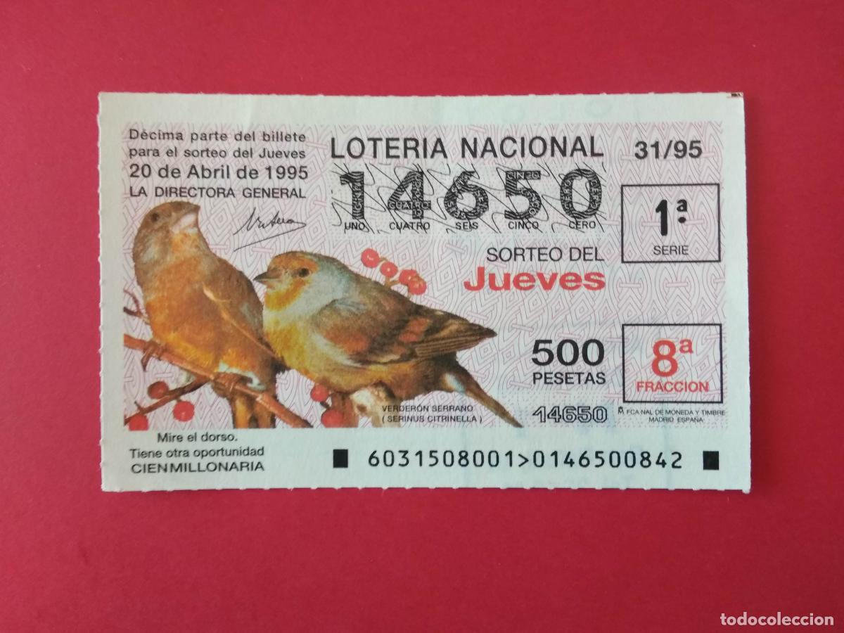 Loter&iacute;a nacional: DECIMO DE LOTERIA NACIONAL A&Ntilde;O 1995 SORTEO N&ordm; 31 VERDERON SERRANO