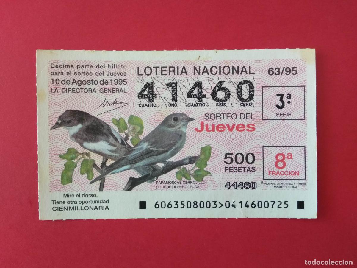 Loter&iacute;a nacional: DECIMO DE LOTERIA NACIONAL A&Ntilde;O 1995 SORTEO N&ordm; 63 PAPAMOSCAS CERROJILLO