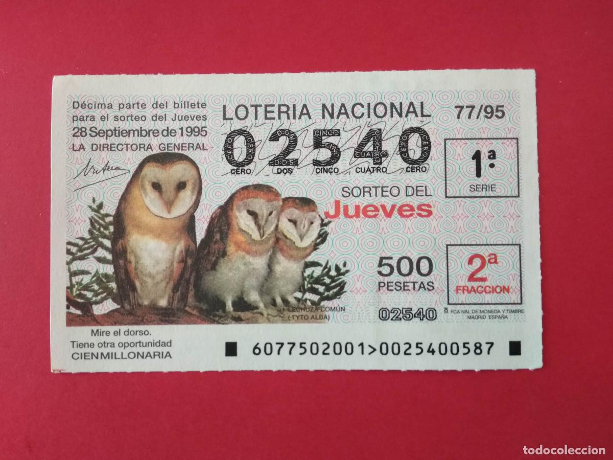 Loter&iacute;a nacional: DECIMO DE LOTERIA NACIONAL A&Ntilde;O 1995 SORTEO N&ordm; 77 LECHUZA COMUN