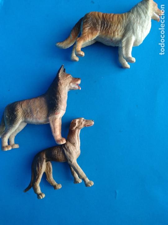 Madelman: perros compatibles con madelman - Foto 2