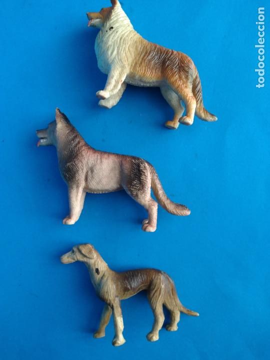 Madelman: perros compatibles con madelman - Foto 3