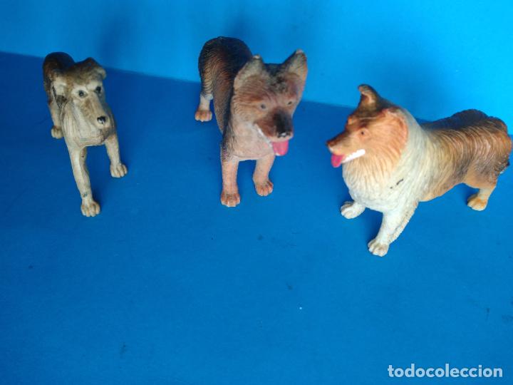 Madelman: perros compatibles con madelman - Foto 1