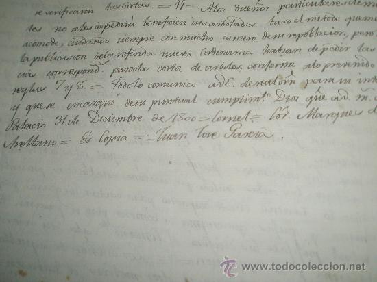 Manuscritos antiguos: LA ABOLICION Y RESTRINCCION DE LA MARCACION DE LOS ARBOLES PARA CONSTRUCCION DE BUQUES Y EDIFICACION - Foto 3