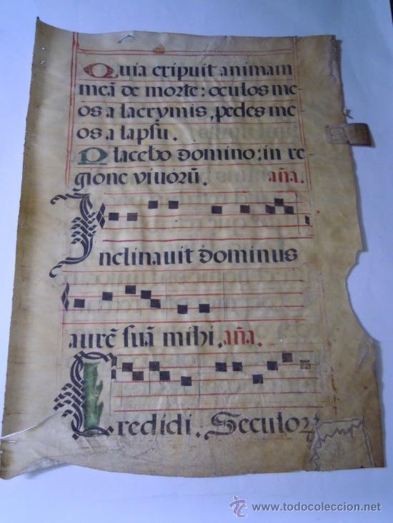 Featured image of post Letras Bonitas Manuscritas