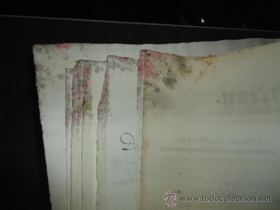 Manuscritos antiguos: documentos de 1836-38 de la venta de una finca en madrid - Foto 14