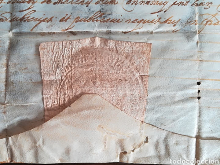 Manuscritos antiguos: Antiguo pergamino con sellos Hieronymus... - Foto 7