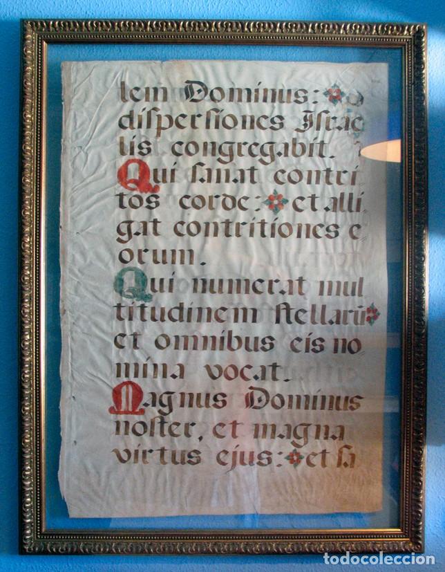 Manuscritos antiguos: ANTIGUA ENORME Y ORIGINAL HOJA DE CANTORAL. EDAD MEDIA O RENACIMIENTO. ENMARCADO DE LUJO