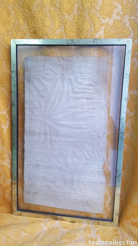 Manuscritos antiguos: GRAN DOCUMENTO MANUSCRITO SOBRE VITELA, DEL SIGLO XVI - Foto 1