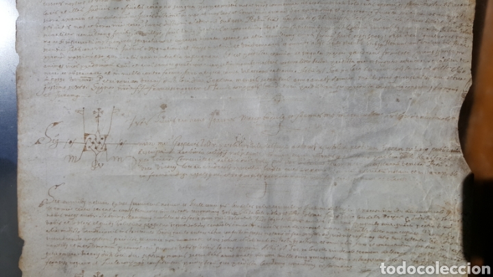 Manuscritos antiguos: GRAN DOCUMENTO MANUSCRITO SOBRE VITELA, DEL SIGLO XVI - Foto 5