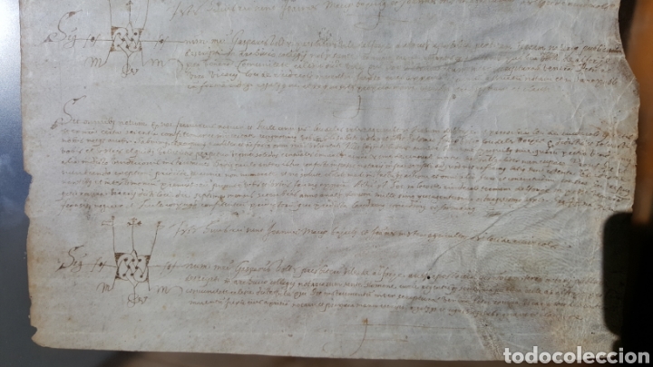 Manuscritos antiguos: GRAN DOCUMENTO MANUSCRITO SOBRE VITELA, DEL SIGLO XVI - Foto 6