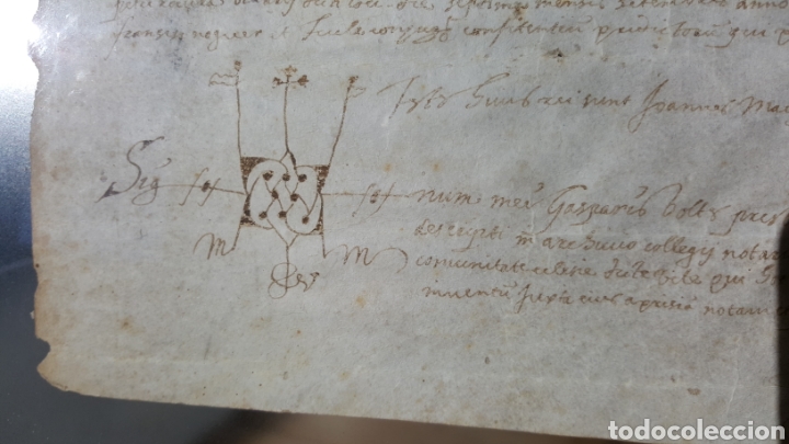 Manuscritos antiguos: GRAN DOCUMENTO MANUSCRITO SOBRE VITELA, DEL SIGLO XVI - Foto 8