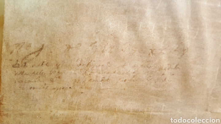 Manuscritos antiguos: GRAN DOCUMENTO MANUSCRITO SOBRE VITELA, DEL SIGLO XVI - Foto 10