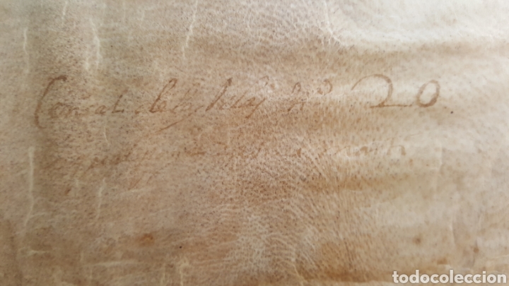Manuscritos antiguos: GRAN DOCUMENTO MANUSCRITO SOBRE VITELA, DEL SIGLO XVI - Foto 11
