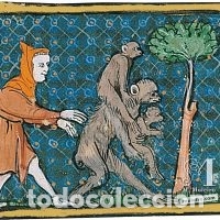 Manuscritos antiguos: FACSIMIL del LIBRO DEL TESORO de MOLEIRO - Foto 9