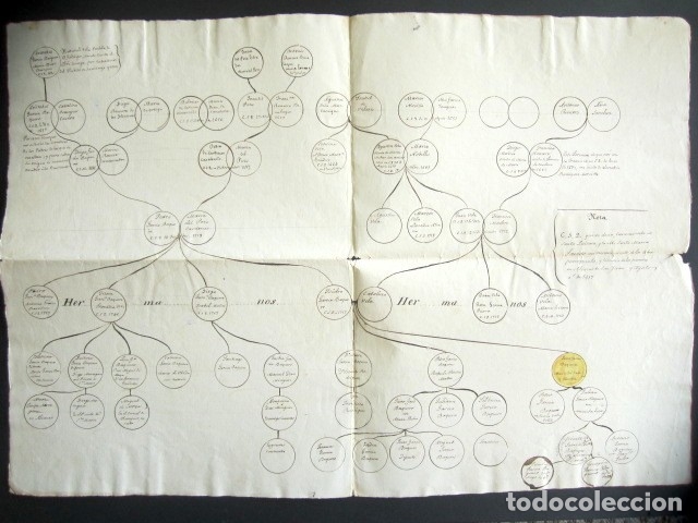 Arbol Genealogico De La Familia Garcia Baquero Verkauft Durch