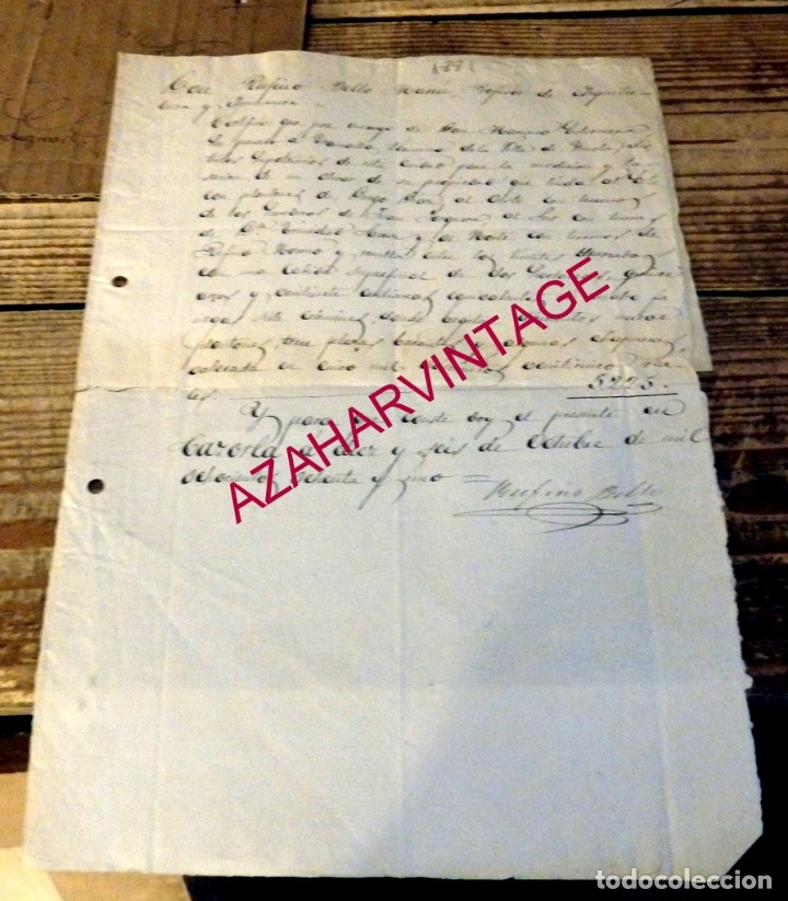 Manuscritos antiguos: CAZORLA, JAEN, 1881, INFORME PERITO AGRIMENSOR MEDICION OLIVAR - Foto 1