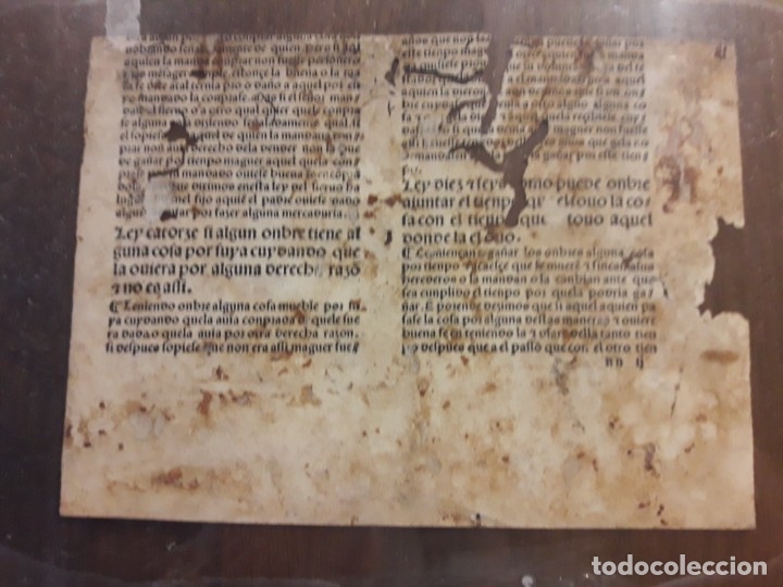 Manuscritos antiguos: Ordenanzas Reyes cat&oacute;licos - Foto 1