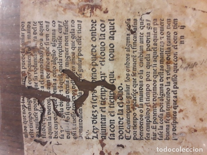 Manuscritos antiguos: Ordenanzas Reyes cat&oacute;licos - Foto 2