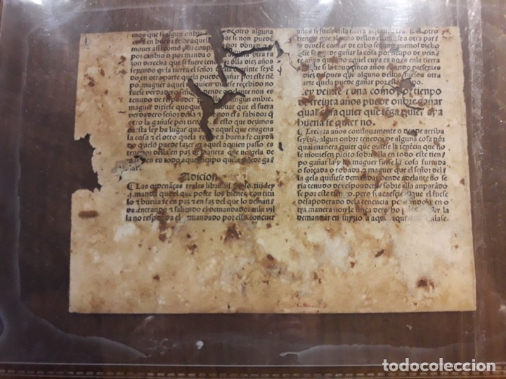 Manuscritos antiguos: Ordenanzas Reyes cat&oacute;licos - Foto 4