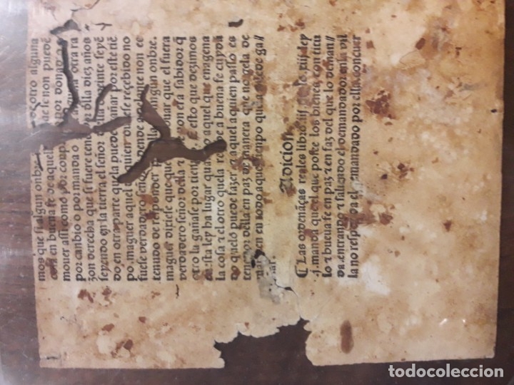 Manuscritos antiguos: Ordenanzas Reyes cat&oacute;licos - Foto 5