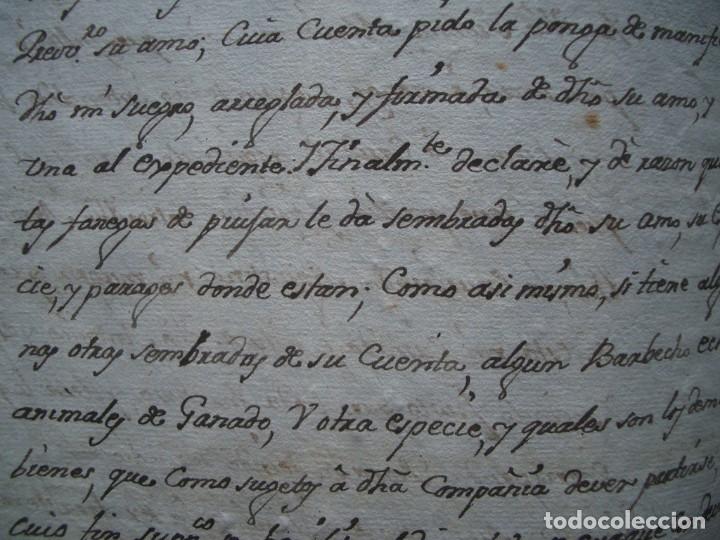 Manuscritos antiguos: Documento manuscrito de1779 referente a Hell&iacute;n, Albacete - Foto 14