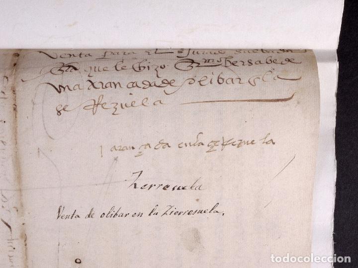 Alte Manuskripte: ECIJA 1578. VENTA DE OLIVAR EN LA SIERREZUELA