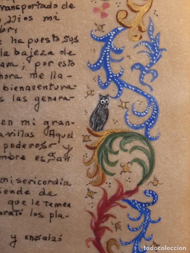 Manuscritos antiguos: Papel pergamino miniado - Foto 5