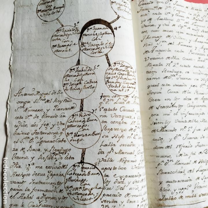 Ancient Manuscripts: 2 documento manuscrito Genealog&iacute;a Coca Setiem Haros Cabeza de Vaca 1479-1784