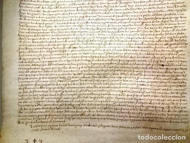 Manuscritos antiguos: MANUSCRITO EN PERGAMINO PERTENECIENTE A UNA ACTA NOTARIAL DE 1535 - - Foto 5