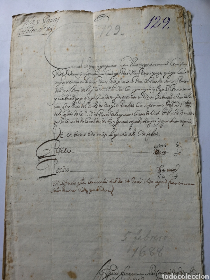 Manoscritti antichi: documento escrito a mano , manuscrito 1688. documento censal