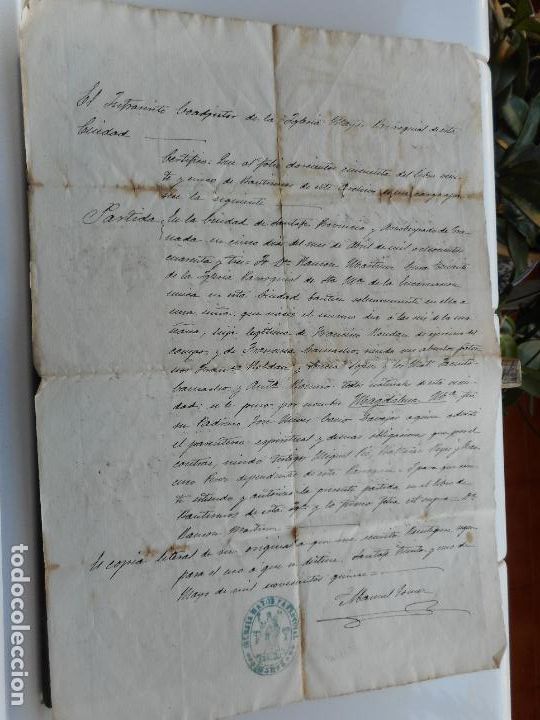 Alte Manuskripte: ANTIGUA COPIA LITERAL.PARTIDA BAUTIZO.MAGDALENA MARIA ROLDAN CAMACHO.GRANADA 1843-1915