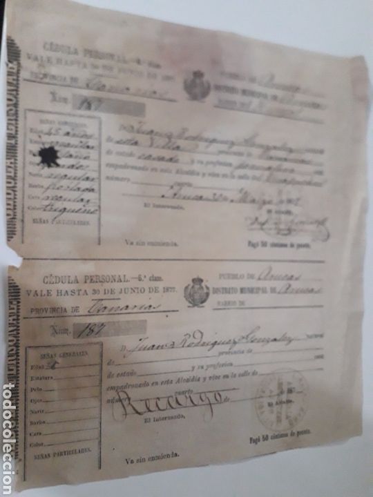 Alte Manuskripte: PROVINCIA DE CANARIAS.CELULA PERSONAL. ARUCAS.EL HINOJAL. 1877. GRAN CANARIA.