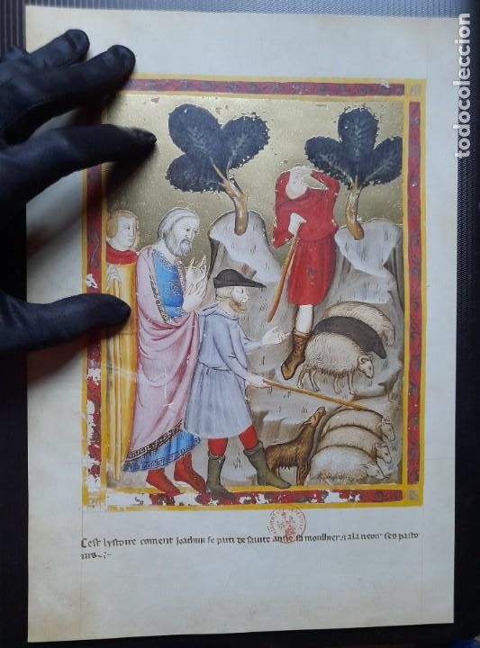 Manuscritos antigos: Facs&iacute;mil Hoja de la Biblia Moralizada de N&aacute;poles siglo XIV Folio 114 v. San Joaqu&iacute;n y los Pastores.