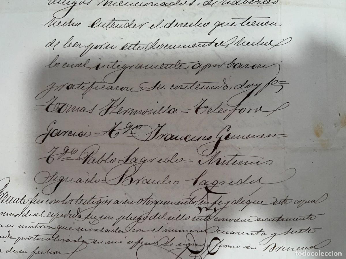 Manuscritos antiguos: BRIVIESCA - BURGOS, 1879. PODER PARA PLEITOS.VER FOTOS - Foto 17