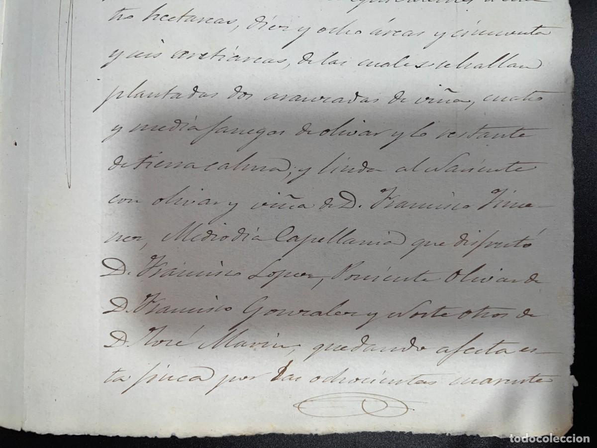 Manuscritos antiguos: MOR&Oacute;N DE LA FRONTERA-SEVILLA, 1883. PLEITO. VER - Foto 11