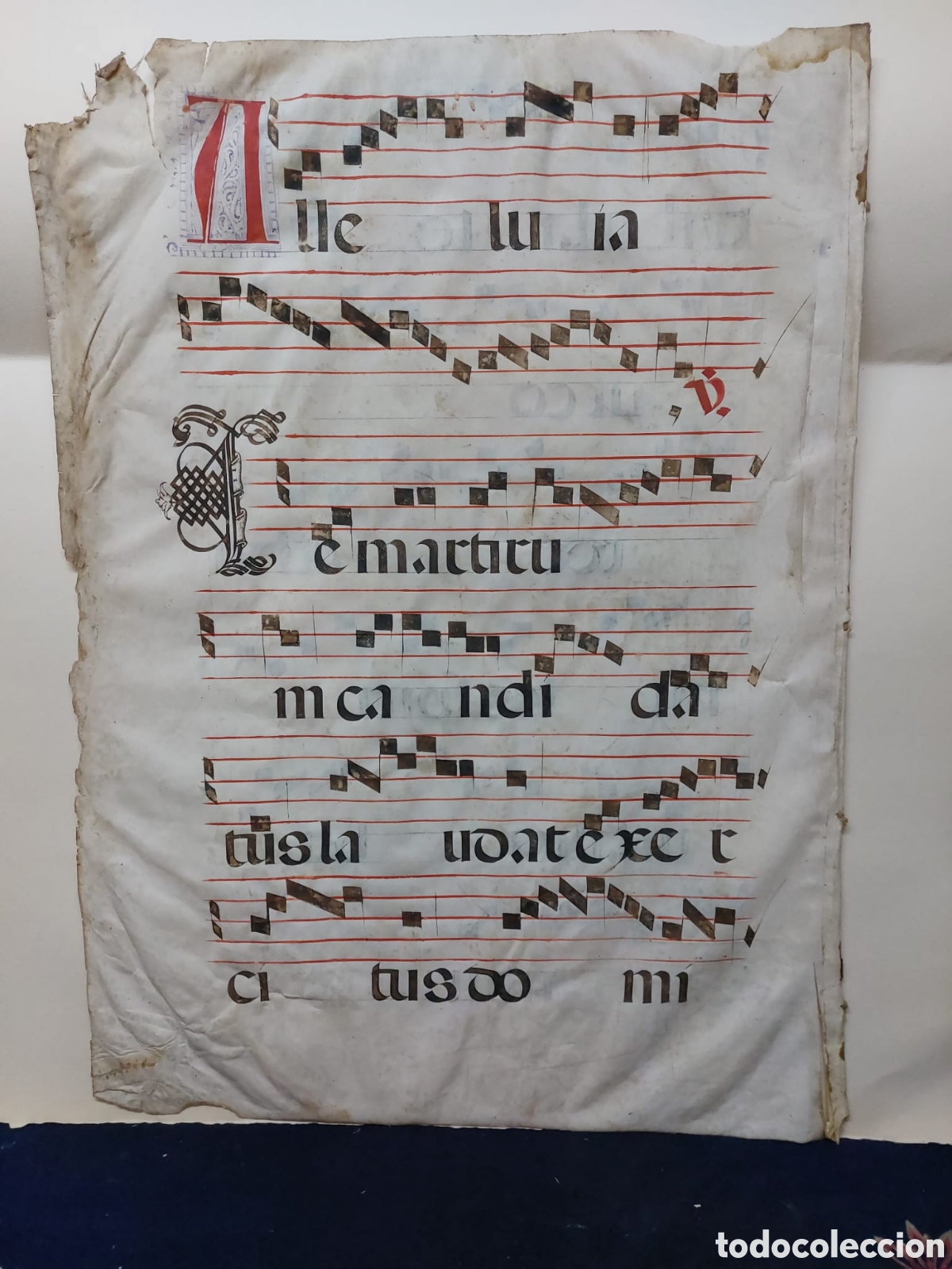 Ancient Manuscripts: CANTORAL CLESIASTICO . SEGLE XIV PERGAMINO MEDIDAS 71X 52